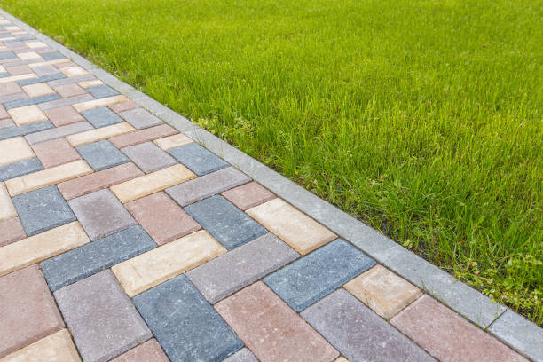 Best Commercial Driveway Pavers  in Socorro, NM